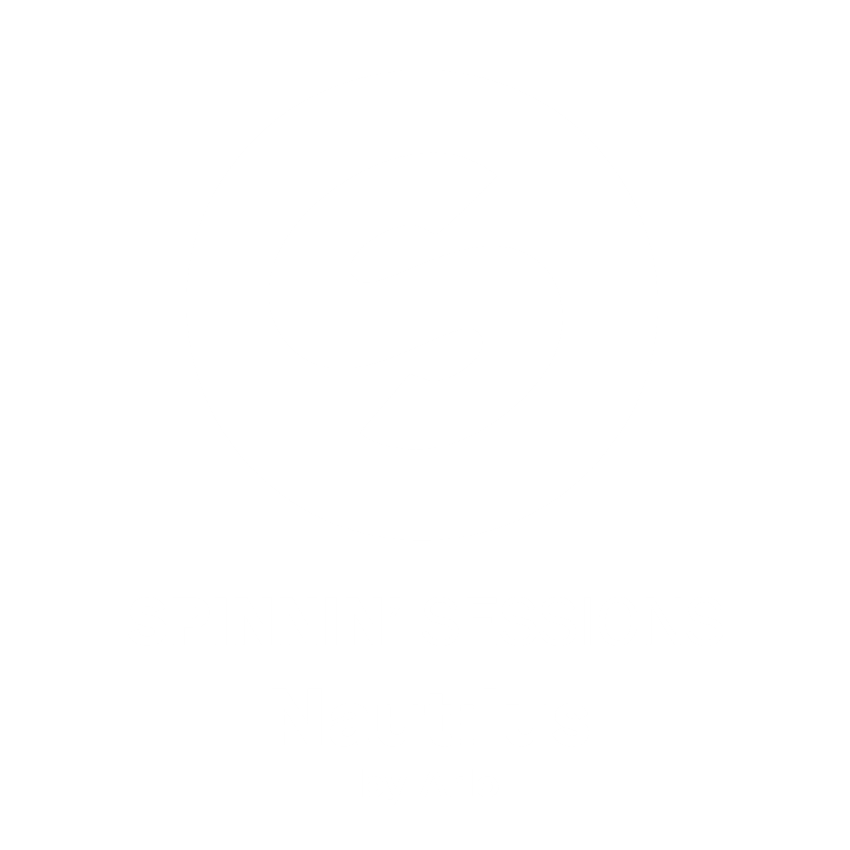 spinninsessions large