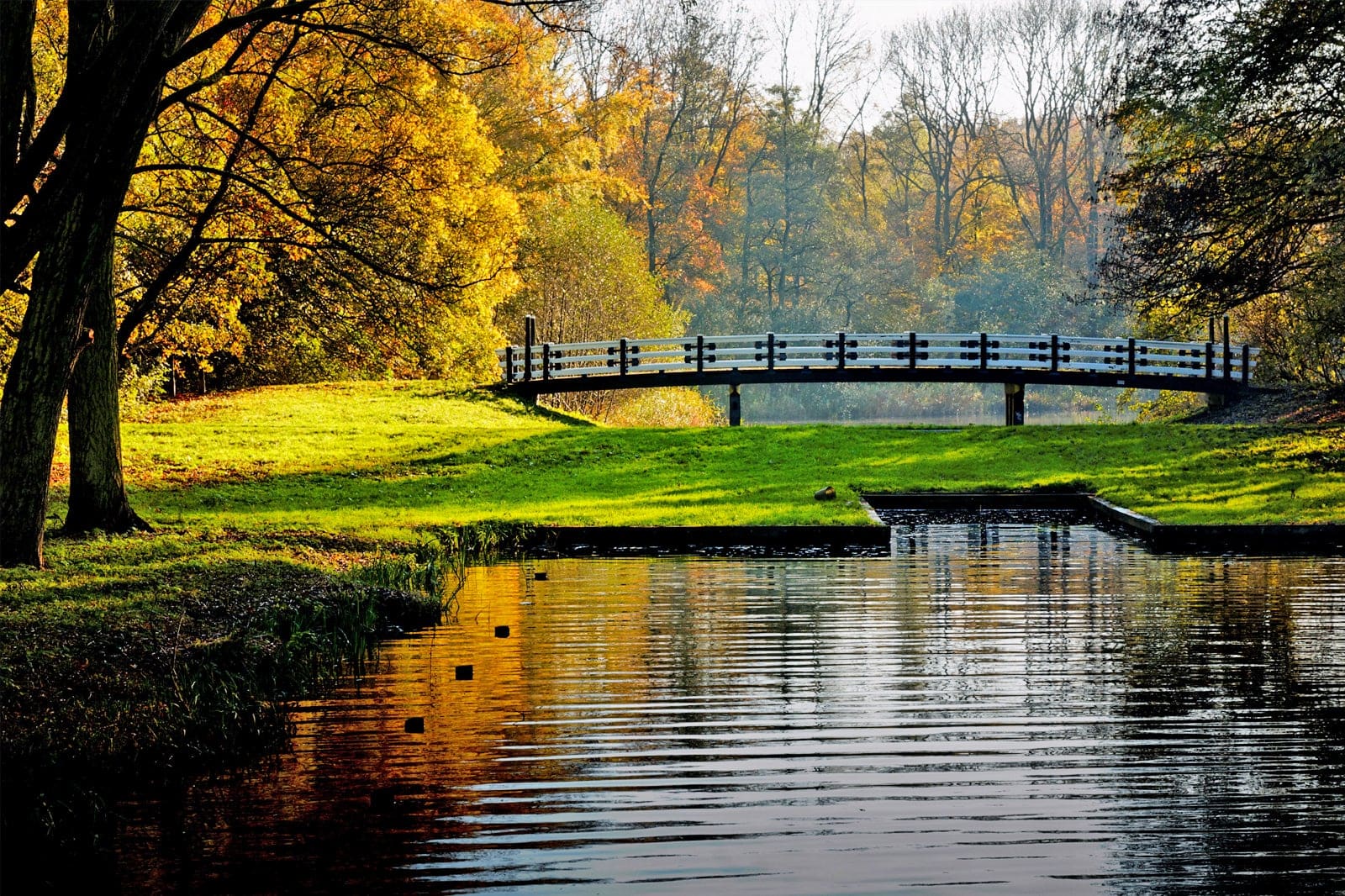 Amsterdamse Bos